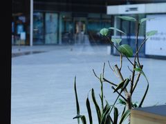 -Seesaw Coffee(苏州中心店)