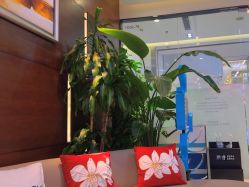 -洁铭新加坡医美