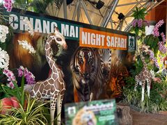 -清迈夜间动物园