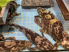 -79号渔船海鲜饭店(宝安店)