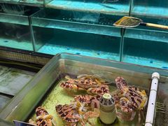-强记海鲜·大排档(蛇口新街店)