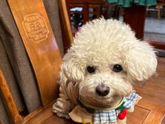 -蔡家酒楼(一德街店)