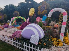 -上海共青森林公园