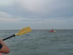 -碧海金沙
