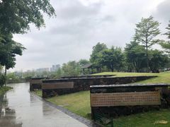 -王借岗森林公园