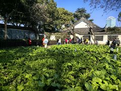 -绍兴鲁迅故里·沈园景区