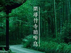 -云栖竹径