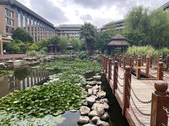 -昆明洲际酒店