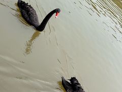 -曼听御花园