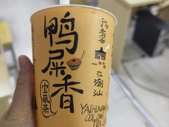 -奈雪的茶(青岛卓悦里INTOWN店)