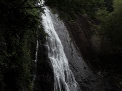-四明山国家森林公园