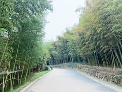 -苏州环秀晓筑养生度假村