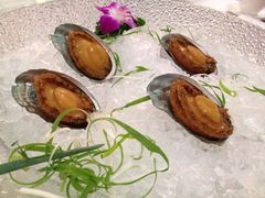 冰镇鲍鱼-海都六福酒家(世博广场店)