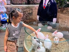 -正佳雨林生态植物园