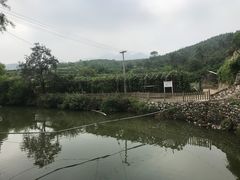 -双新垂钓园