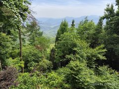 -莫干山风景区