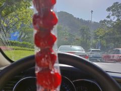 -西涌国际滨海旅游区