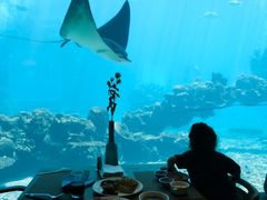 -涛·海底餐厅·美人鱼·自助餐·海底隧道(三亚海棠湾洲际度假酒店)