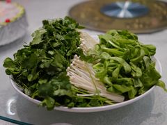 -孔庆璞河豚馆(白玉兰酒店)