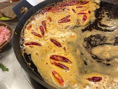 -青年火锅(吾悦广场直营店)