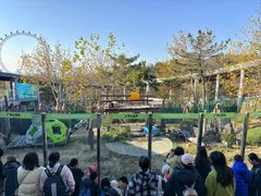 -大连森林动物园