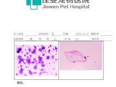 -佳雯宠物医院(金华南路分院)