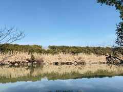 -沙家浜风景区