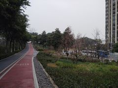 -大渡口区义渡公园