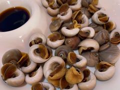 白灼花螺-丰收渔港饭店(嵊泗店)