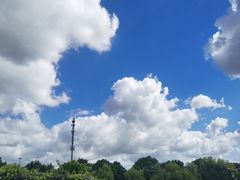 -顾村公园