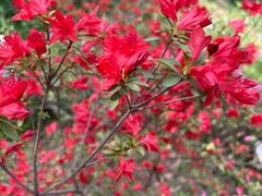 -玄武湖景区-情侣园游乐场