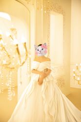 -金夫人婚纱摄影(总店)