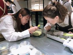 -ABC Cooking Studio(上海环球金融中心店)