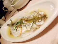 清蒸太湖白鱼-天福苑(崇宁路店)