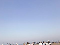 -日照世帆赛基地