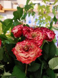 -今日陶艺(富力广场店)