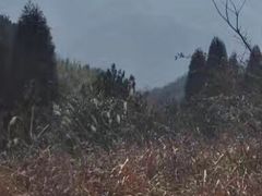 -天姥山