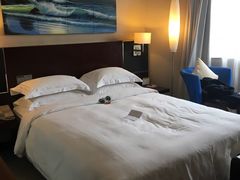 -深圳中洲圣廷苑酒店世纪楼