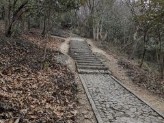 -上海佘山国家森林公园天马山园