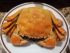 -老洋房花园饭店(绍兴路店)
