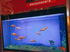 -蜀锦堂·川味现炒(襄阳武商汇店)