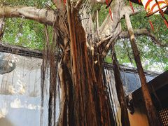 -文儒九号·闽菜馆(三坊七巷店)