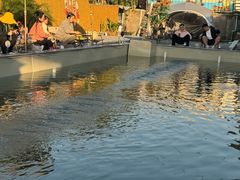 -DGE季风钓虾营地·团建·聚会