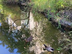-上海怡沁园度假酒店