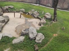 -南昌动物园