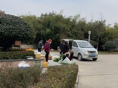 -唐猫庭院·千年陕菜(大唐不夜城店)