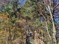 -罗田天堂寨风景区
