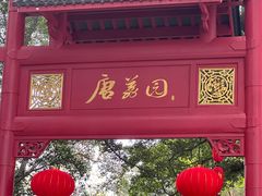 -侨美·唐荔园·40年地道粤菜