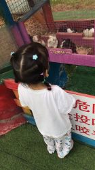 -萌宠亲子动物乐园(槐房万达店)