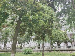 -武汉大学图书馆·文理学部总馆